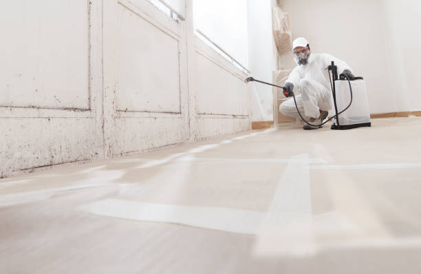24/7 Emergency Mold Cleanup experts in Renton, WA