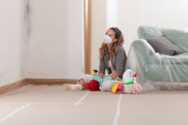 Reliable Mold Cleanup contractor in Renton, WA by Cheap Mold Removal